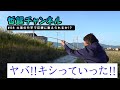 高橋哲也が近所の釣り場に遊びに来た #08昔むかしの竹竿を佐賀の田んぼでお披露目です！