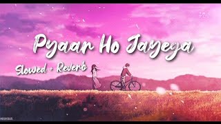Pyaar Ho Jayega (Slowed + Reverb ) Vishal Mishra |