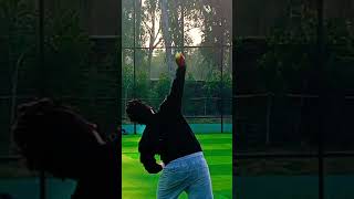 home Cricket in box cricket #effect #tomandjerry #cricketenthusiast #good #funny #cricket