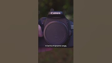 Can They Do 1080p @ 60fps? Canon 7D Mark II vs Canon 600D