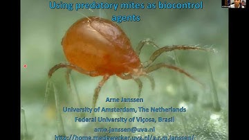 Mite-y Talks: Arne Janssen