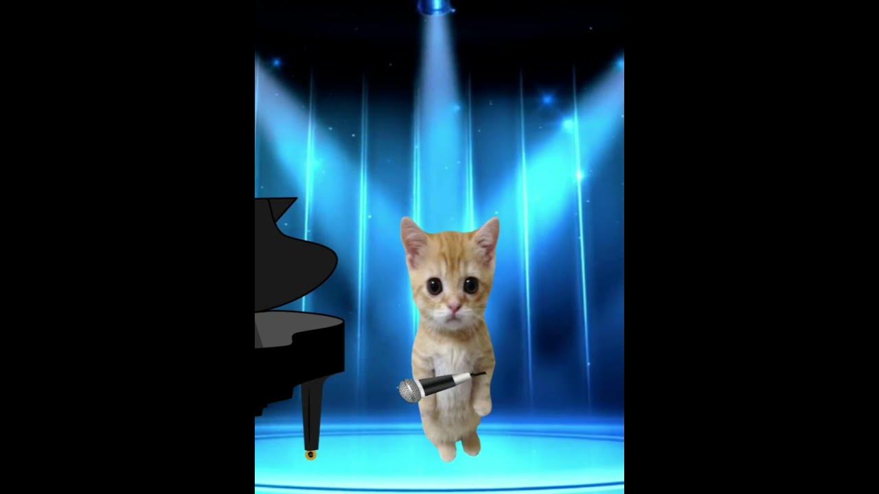 Поющий кот Эль гато - YouTube