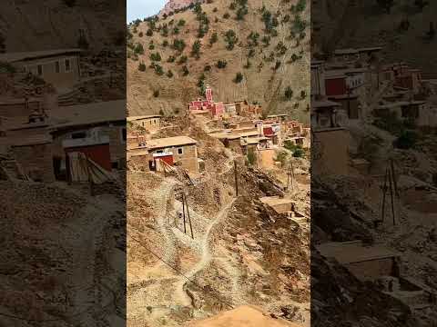 اكسبلور   الجيلي الكوليرا التحف تيك توك     