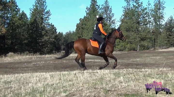 Tracey Hopper; SSHF Fall Horse Trials, October, 2021