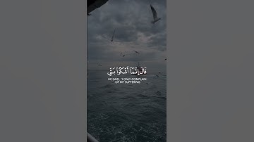 ( قَالَ إِنَّمَآ أَشْكُواْ بَثِّى وَحُزْنِىٓ إِلَى ٱللَّهِ  بصوت الشيخ حمد الدغريري من سورة يوسف