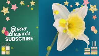 ஸ்ரீஜாவின் அப்பாவை அடையாளம் கண்ட இசை/பாரிஜாதம் 12 பிப்ரவரி 2026