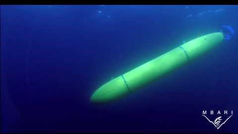 Autonomous Underwater Vehicle