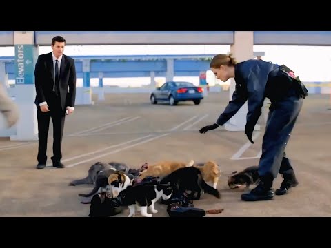 جريمة لمحقق مقتول في جراج بعد قطع ايديه وتشويه أعضاءه لاخفاء سر جاسوس بيلاقوه مرمي بشنطة عربية لأيام