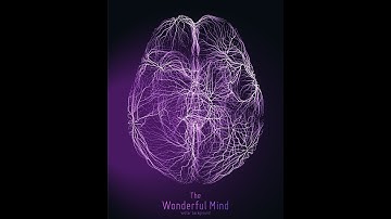 MS101 recorded session