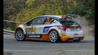 PEUGEOT 208 T16 R5  FINLAND