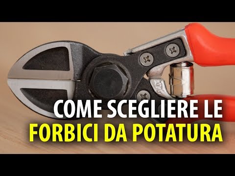 COME SCEGLIERE LE FORBICI DA POTATURA