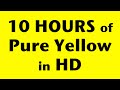 10 Hours of Pure Yellow Screen in HD