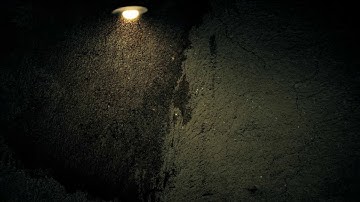 Fireflies   FREE Video Background Loop HD 1080p