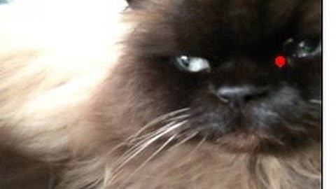 Reduce image size of 100