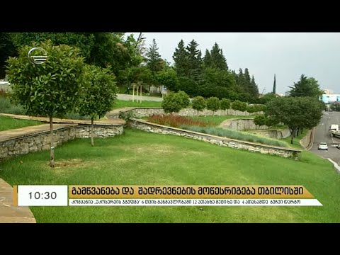 გამწვანება და შადრევნების მოწესრიგება თბილისში