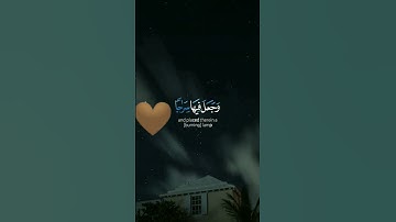 سورة الفرقان بصوت القارئ محمد المربد #اكسبلور #لايك