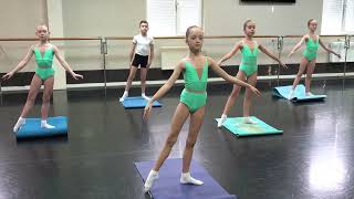 Мастер Класс По Классическому Танцу. Краснова Татьяна Николаевна