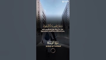 انفروا خفافا و ثقالا #المصحف #سعد_الغامدي # سورة_التوبة #quran