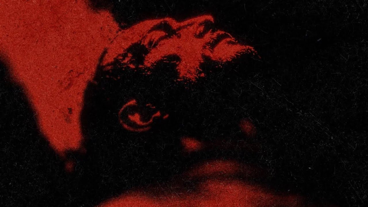 PARA NØIA – catharsis (Official Audio)