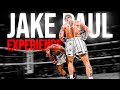 The LESSON LEARNED From The Jake Paul Vs Tyron Woodley Experiment