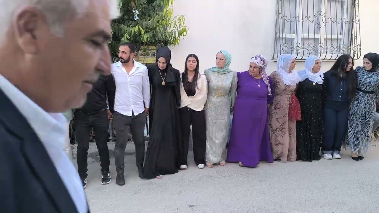 Ahmet nehir düğün halay govend