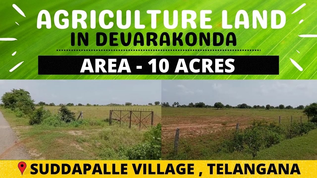 DEVARAKONDA : 10 ACRES AGRICULTURE LAND FOR SALE | YACHARAM ...