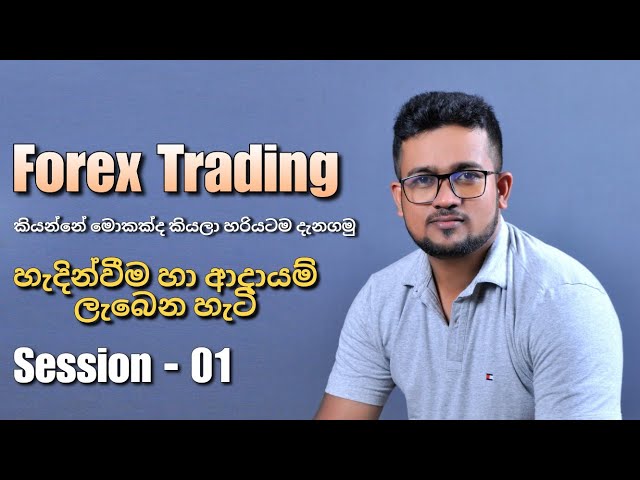 මොකක්ද මේ Forex Trading කියන්නේ | මුල ඉදන් ඉගෙනගන්න | Session -01| CJ | Chandana Jayathilaka class=