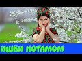 Точикфилм 2019: Близко к вам