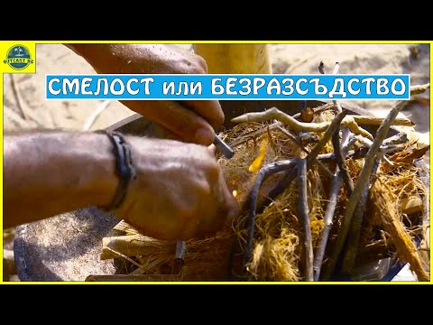 Видео: Безразсъдство дума ли е?