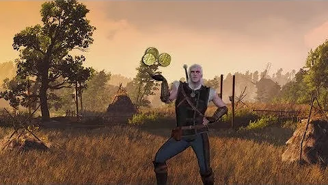 when you toss a coin at your witcher