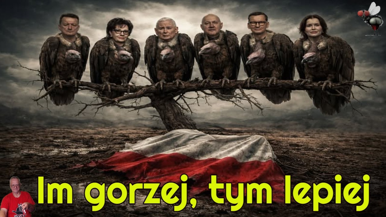 Im gorzej, tym lepiej 🤯