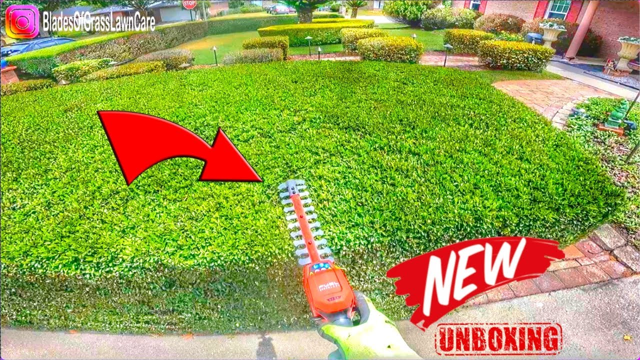 BREAKING! NEW MILWAUKEE M12 FUEL Hedge Trimmer, but is it what you were expecting?