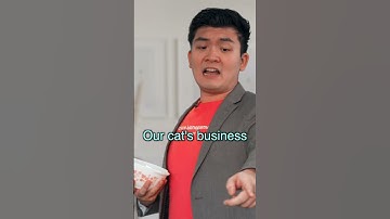 When your cat is a business man