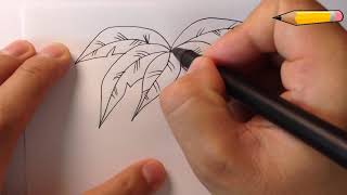 How to draw Coconut tree step by step / Coconut tree drawing