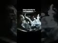 viral video twins baby fight capture in ultrasound