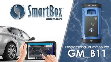 Programming For Immobilizer GM_B11