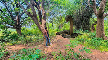 ANACONDA SNAKE ATTACK ON VILLAGE BOY IN FOREST | IN REAL LIF PLUTE PLAYING TIME PRAT 3