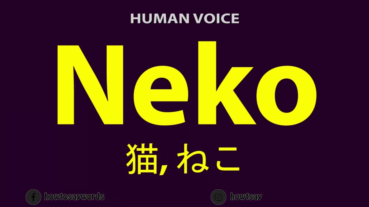 How To Pronounce Neko 猫, ねこ - YouTube