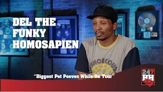 Watch Del The Funky Homosapien Pet Peeves video