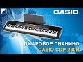 Обзор цифрового пианино CASIO CDP-230