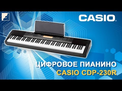 Casio cdp 130 vs yamaha p45