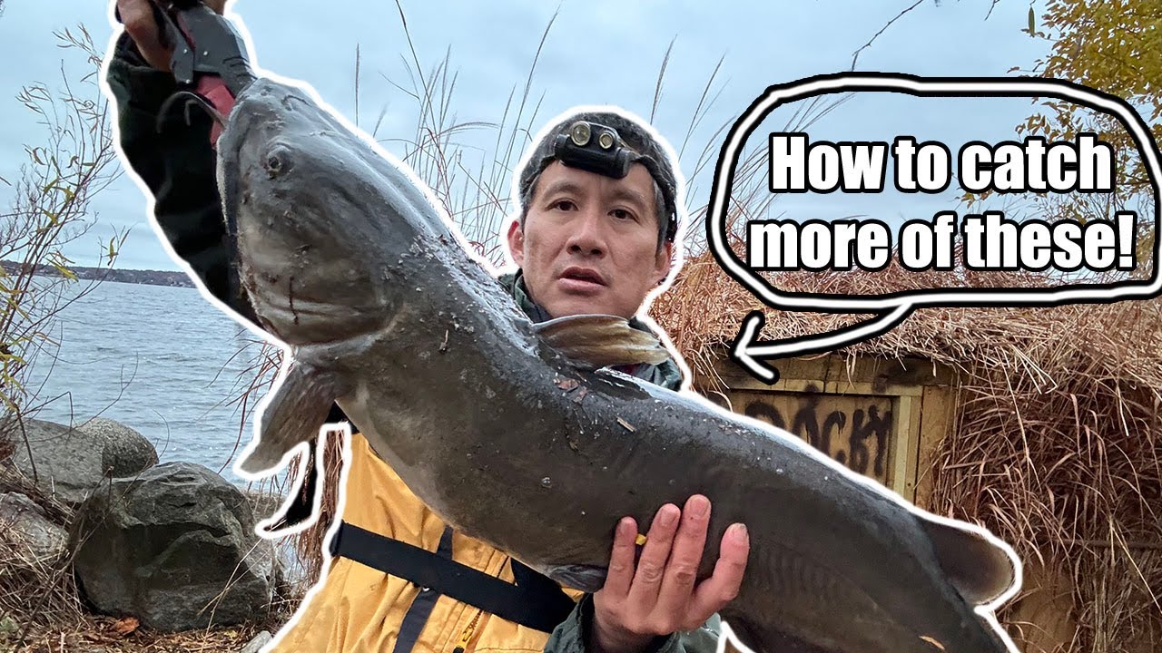 How to Catch More Big Catfish - YouTube