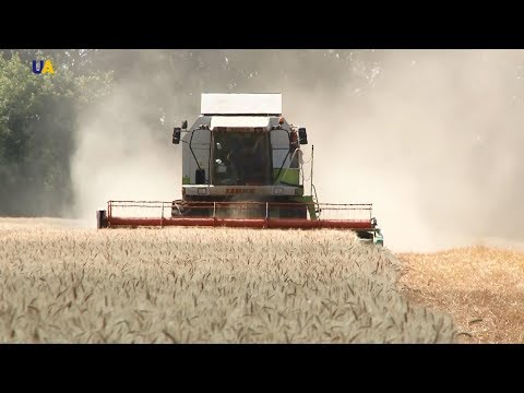 Вопрос: Чем целинные земли отличаются от залежных, почему о них через и писали?