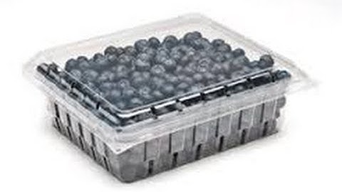 CLAMSHELL LABEL APPLICATION; Associated Labels and Packaging - Custom Application Division