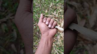 New Different Cricket