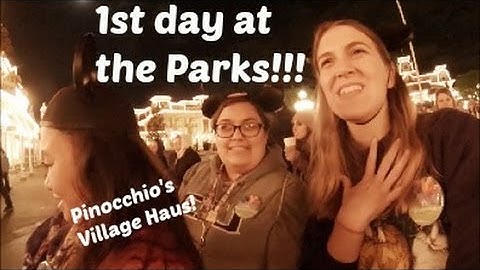 First Day at the Parks w/roomies!- DCP Spring 2016