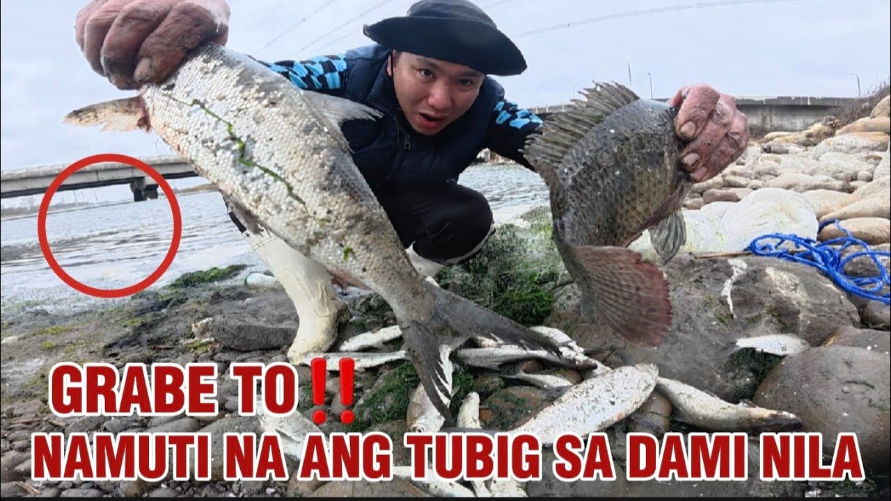 Nagwala at nagpasagan na sila biglang namuti ang tubig sa dami nila😱