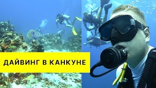 ДАЙВИНГ В КАНКУНЕ. МОРЕ РЫБЫ И ПОДВОДНЫЕ ПЕЩЕРЫ. MANTA DIVERS SCUBA ДАЙВИНГ ЦЕНТР КАНКУН МЕКСИКА.