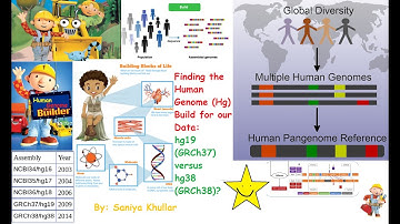 Determining the Human Genome (Hg) Build of a Dataset: Hg18 (GRCh37) versus Hg38 (GRCh38)
