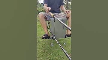 Móc Tầm Này Thì Cướp Cần Làm Sao Được Nữa! #caucagiaitri #marisfishing